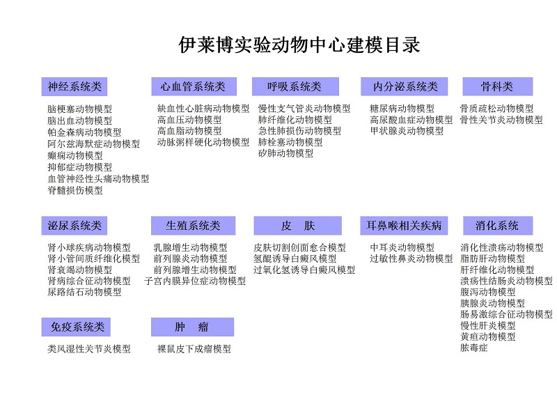 乐鱼网页版登录入口.jpg