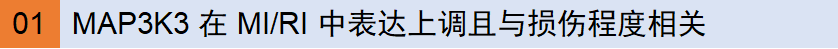 图片13.png