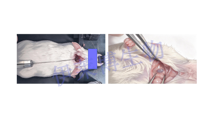 QQ20261010-153805.png